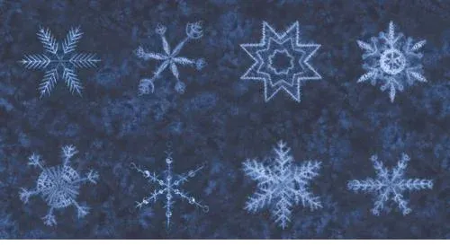stitchesseattle3269636